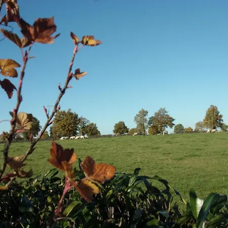 Fermette Rénovée, Animaux Acceptés, Internet, Montluçon Proche - Fr-1-489-83 Séjour à la campagne Verneix